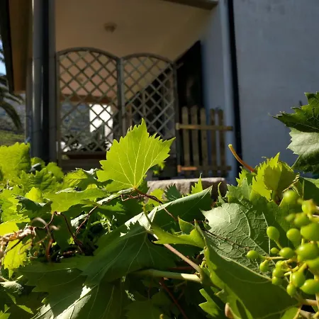 A Solana 度假居